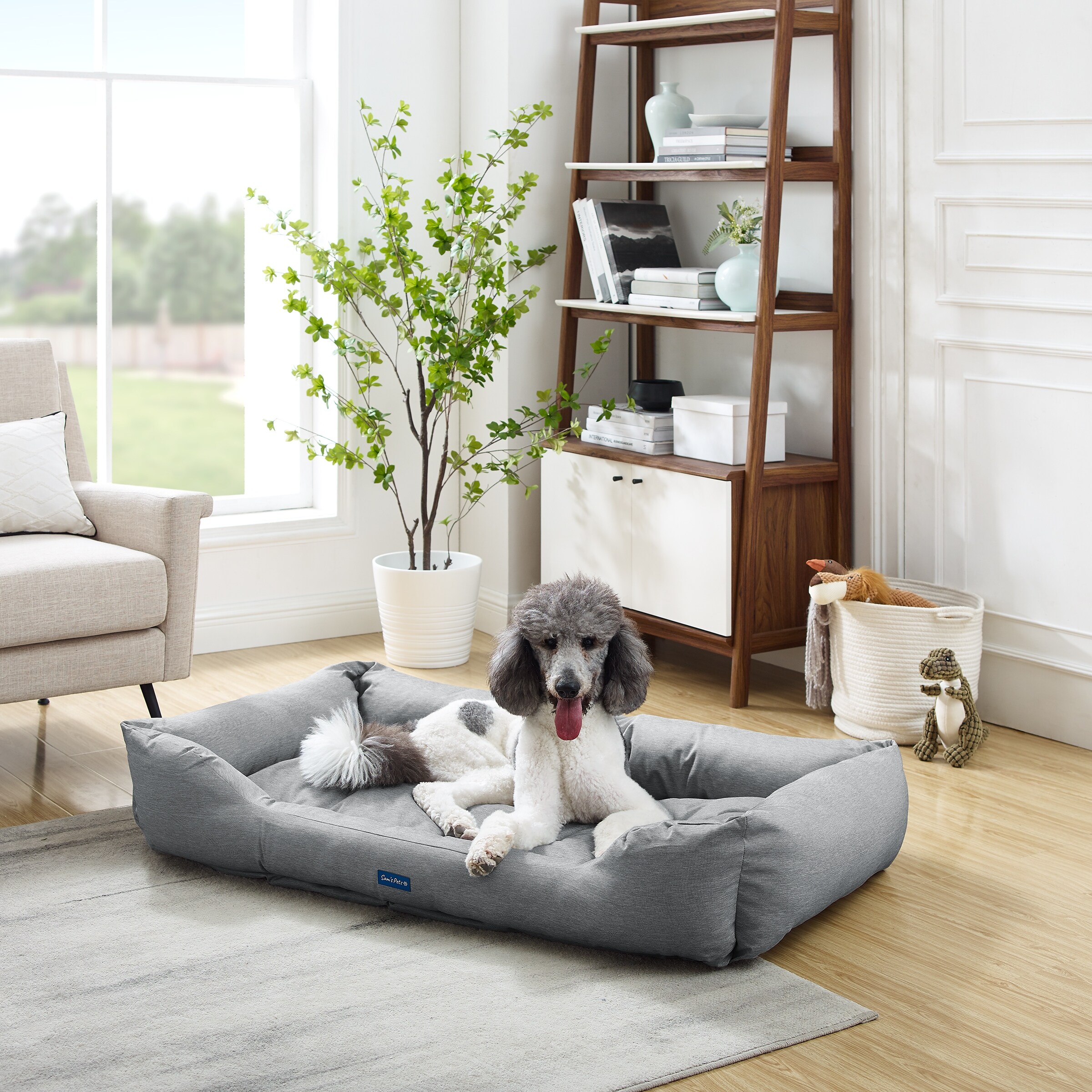 Dog beds sams hotsell