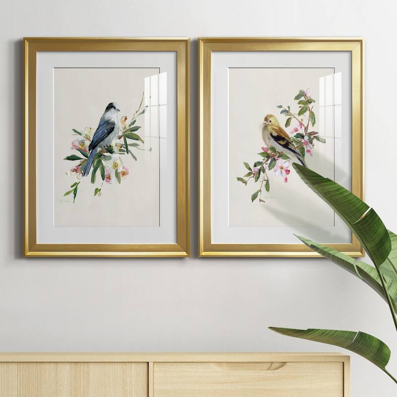 Spring Song Gray Jay Premium Framed Print - Ready to Hang