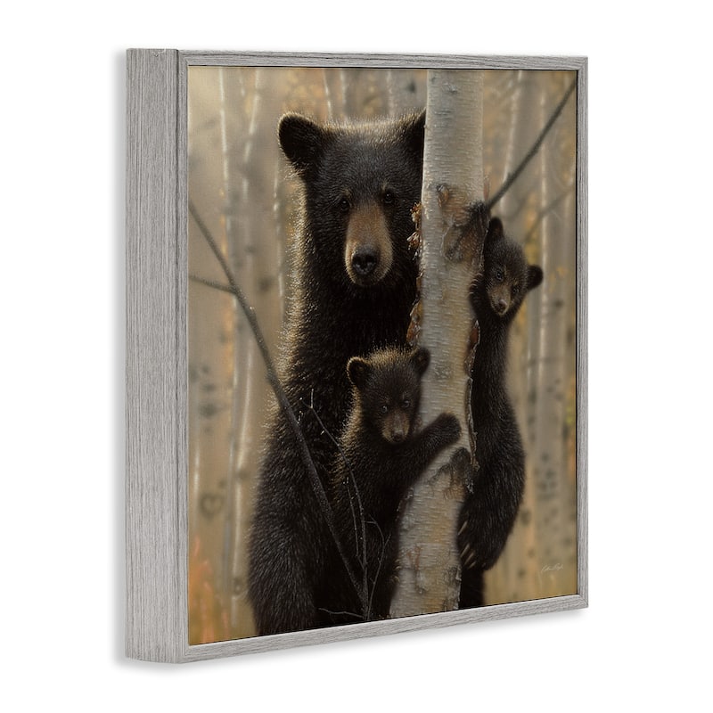 Stupell Black Bear and Cubs Soft Birch Tree Forest Framed Wall Art
