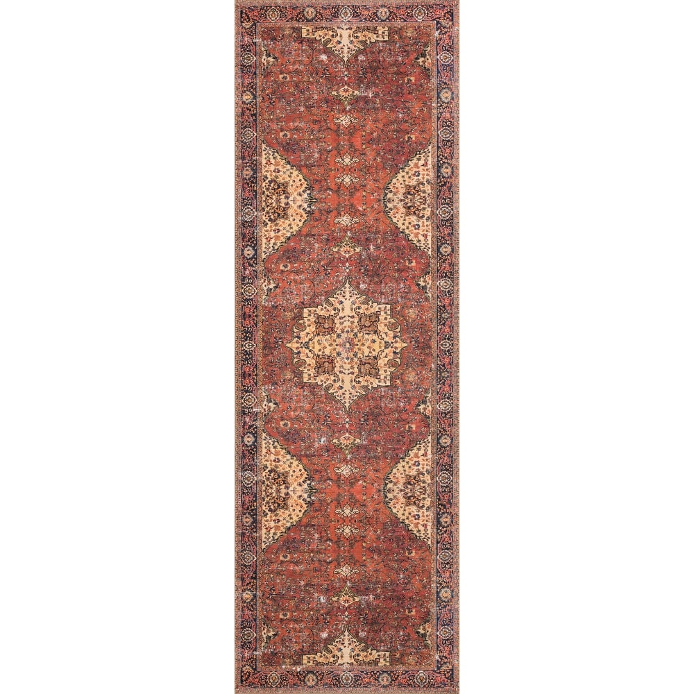 Alexander Home Tremezzina Printed Distressed Medallion Area Rug