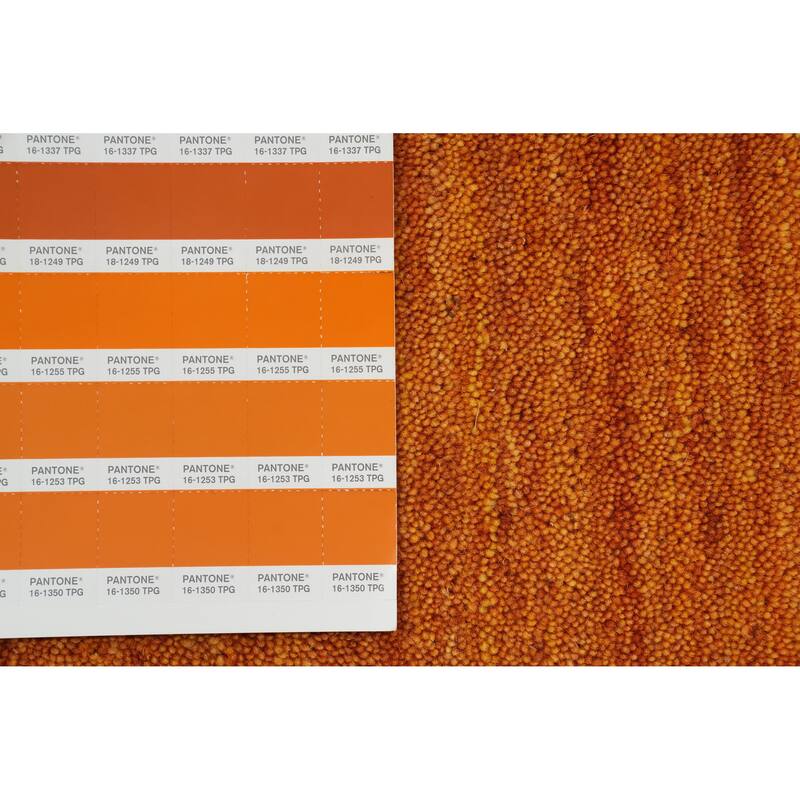 Hand Knotted Oriental 100% Wool Carpet Tribal Animal Pictorial Oranges & Rust Gabbeh Area Rug - 8' 0'' X 7' 11''