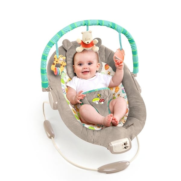 dog bike stroller 2-in-1 Pet Stroller and Bike Trailer