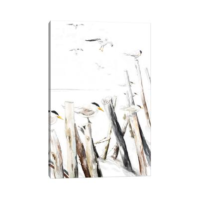 iCanvas "Gull Point" by Patricia Pinto Canvas Print