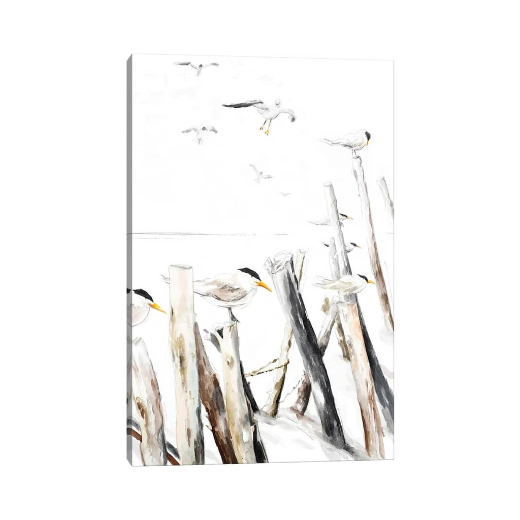 iCanvas "Gull Point" by Patricia Pinto Canvas Print