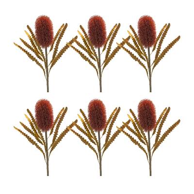 Banksia Stem (Set of 6) - 11 x 11 x 24