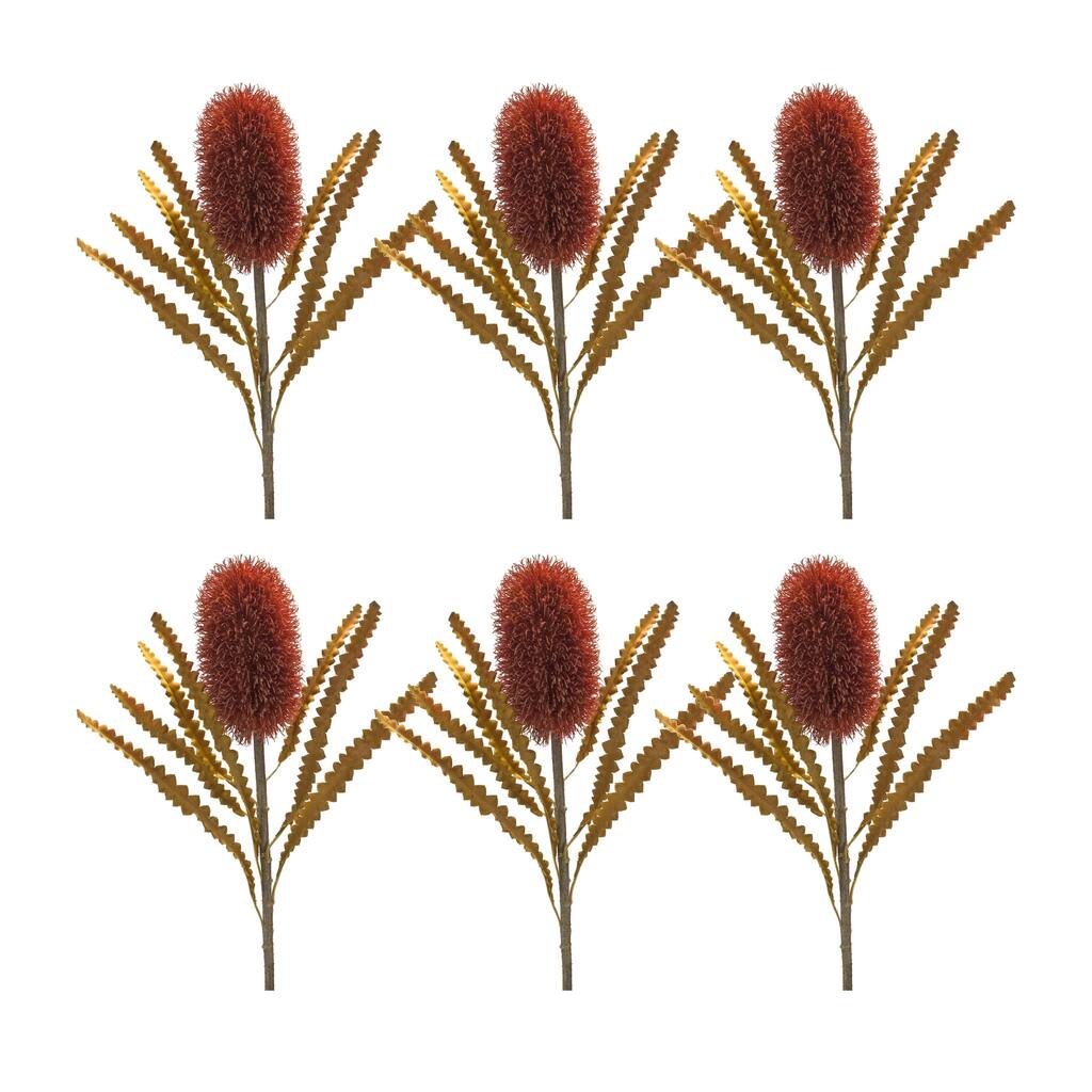 Banksia Stem (Set of 6) - 11 x 11 x 24
