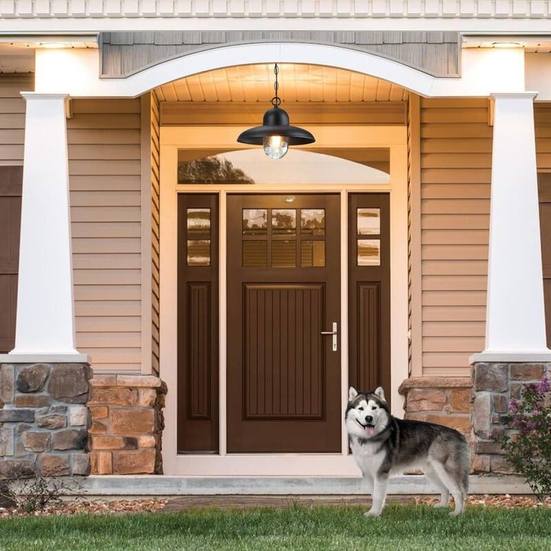 12” Light fixture black pendant light glass, iron hanging light