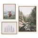 preview thumbnail 3 of 10, Kate and Laurel Sylvie Landscape Framed Canvas Set by Various Artists 3 Piece - Plastic - Natural