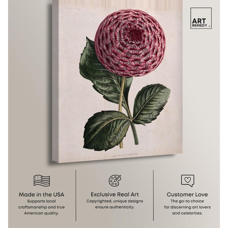 A dahlia Canvas by Art Remedy, Gallery Wrapped