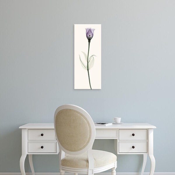 Easy Art Prints Robert Coop's 'Lisianthus' Premium Canvas Art