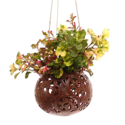 Novica Handmade Tropical House In Turtle Coconut Shell Hanging Planter
