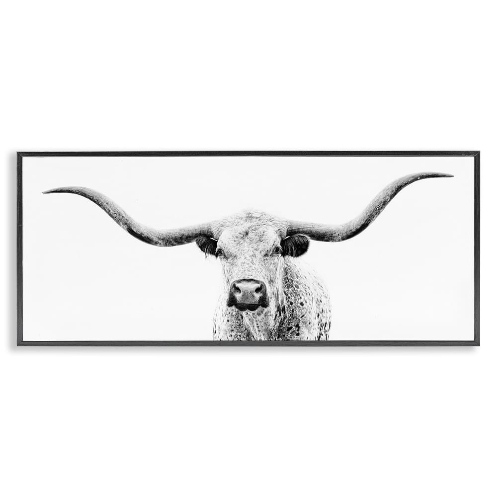 Stupell Longhorn Cattle Gazing Modern White Photography Design Framed Wall Art, Design by PHBurchett