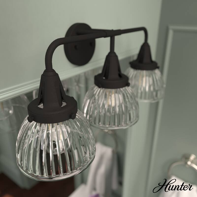 Hunter Cypress Grove 3-Light Vanity Wall Light - Natural Iron