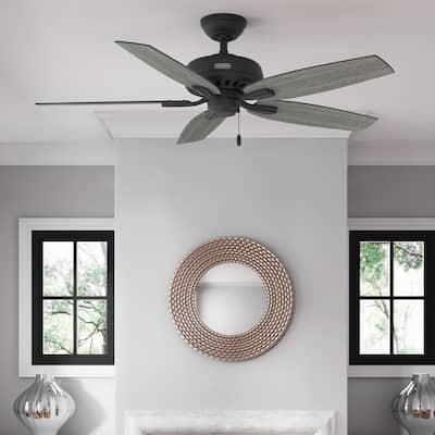Hunter 52" Newsome Ceiling Fan with Pull Chain - Traditional - Casual