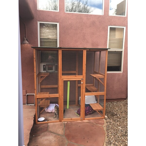 Shop Large Wooden Outdoor Cat Enclosure Cage With 6 Platforms 71