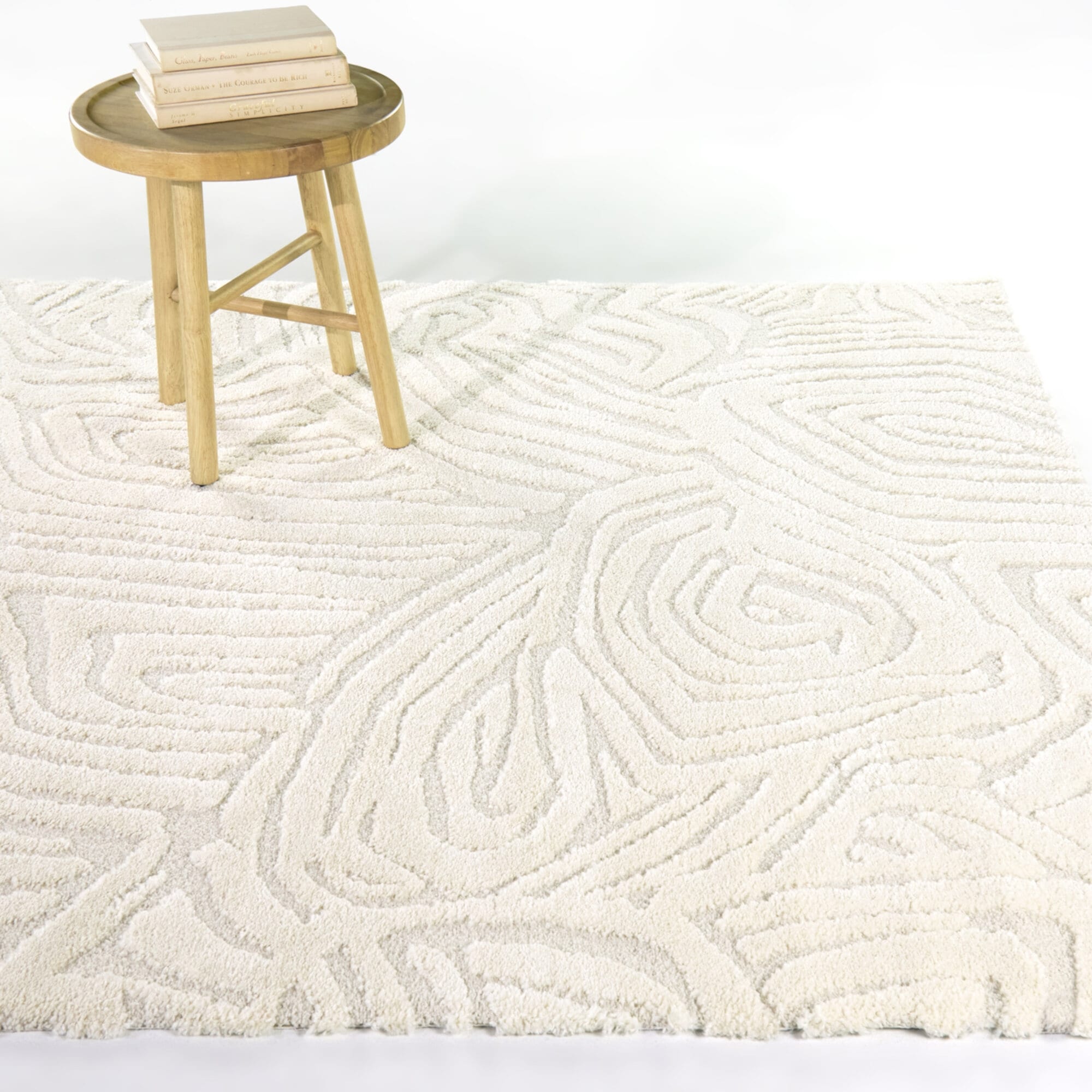 Beauchamp Abstract Textured Area Rug