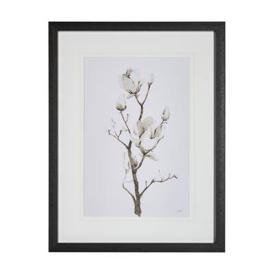 Magnolia II Framed Art Print