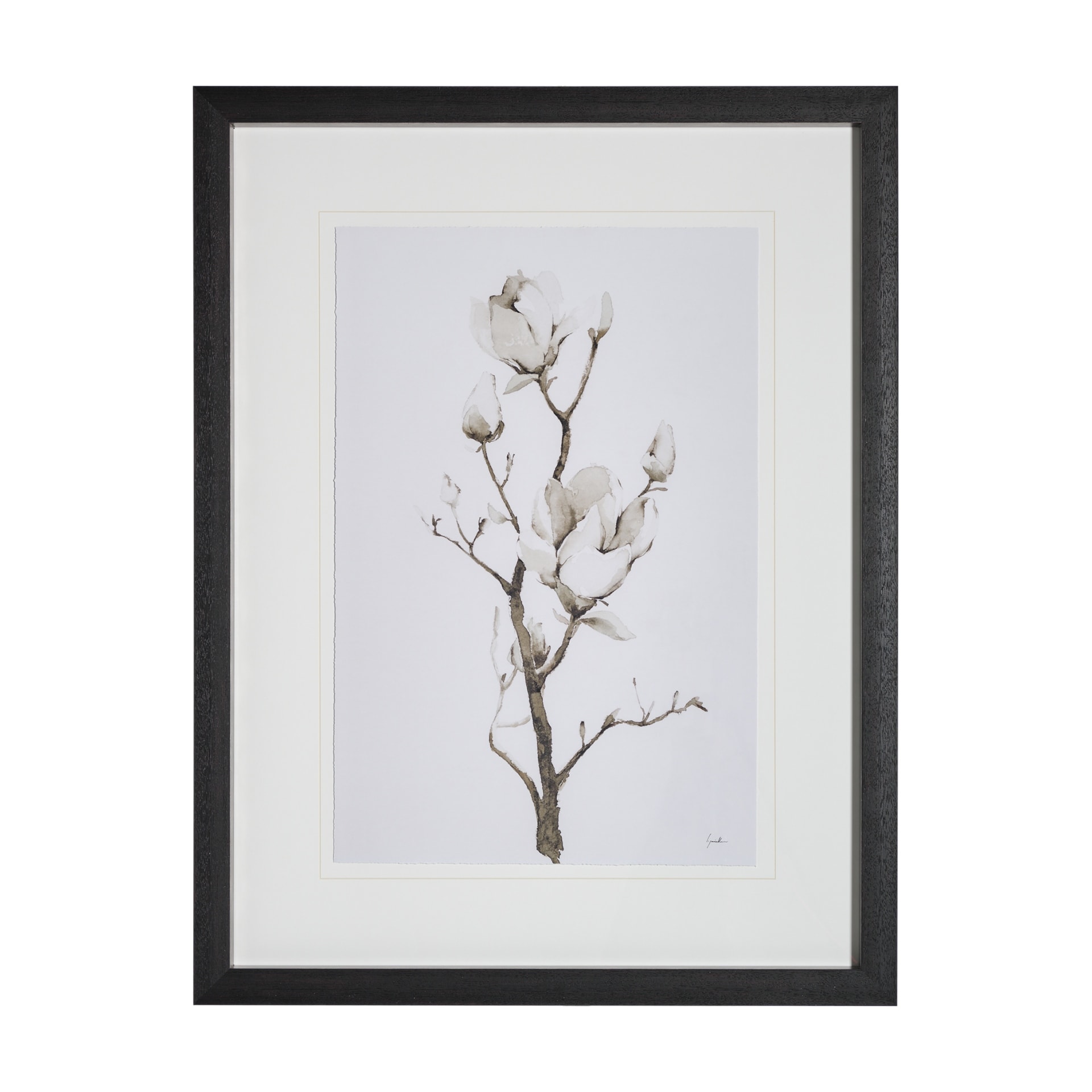 Magnolia II by Gabrielle C a Framed Art Print Matted under Glass