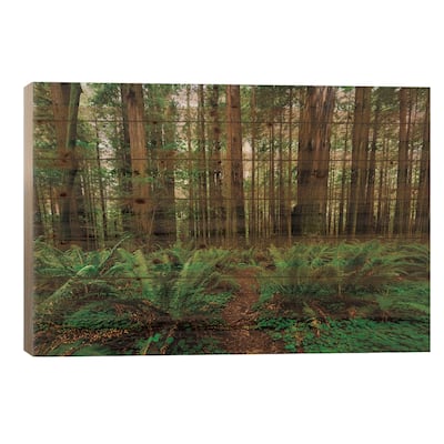 Avenue Of Giants And Giant Redwood Forest Along Route 101, California, USA Print On Wood by Panoramic Images - Multi-Color