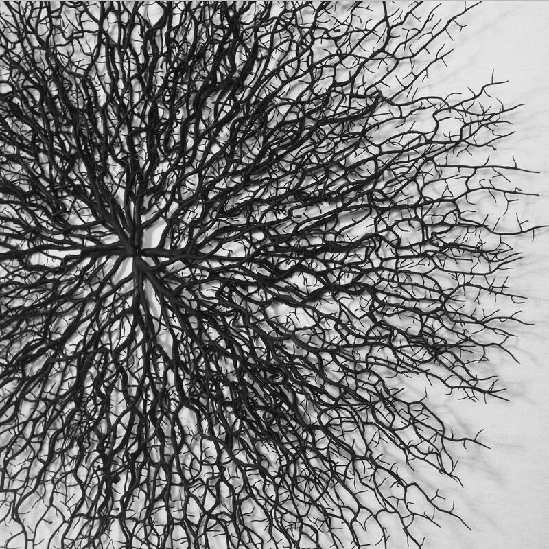 HUJI Roots On Linen Wall Art Decorative Accent