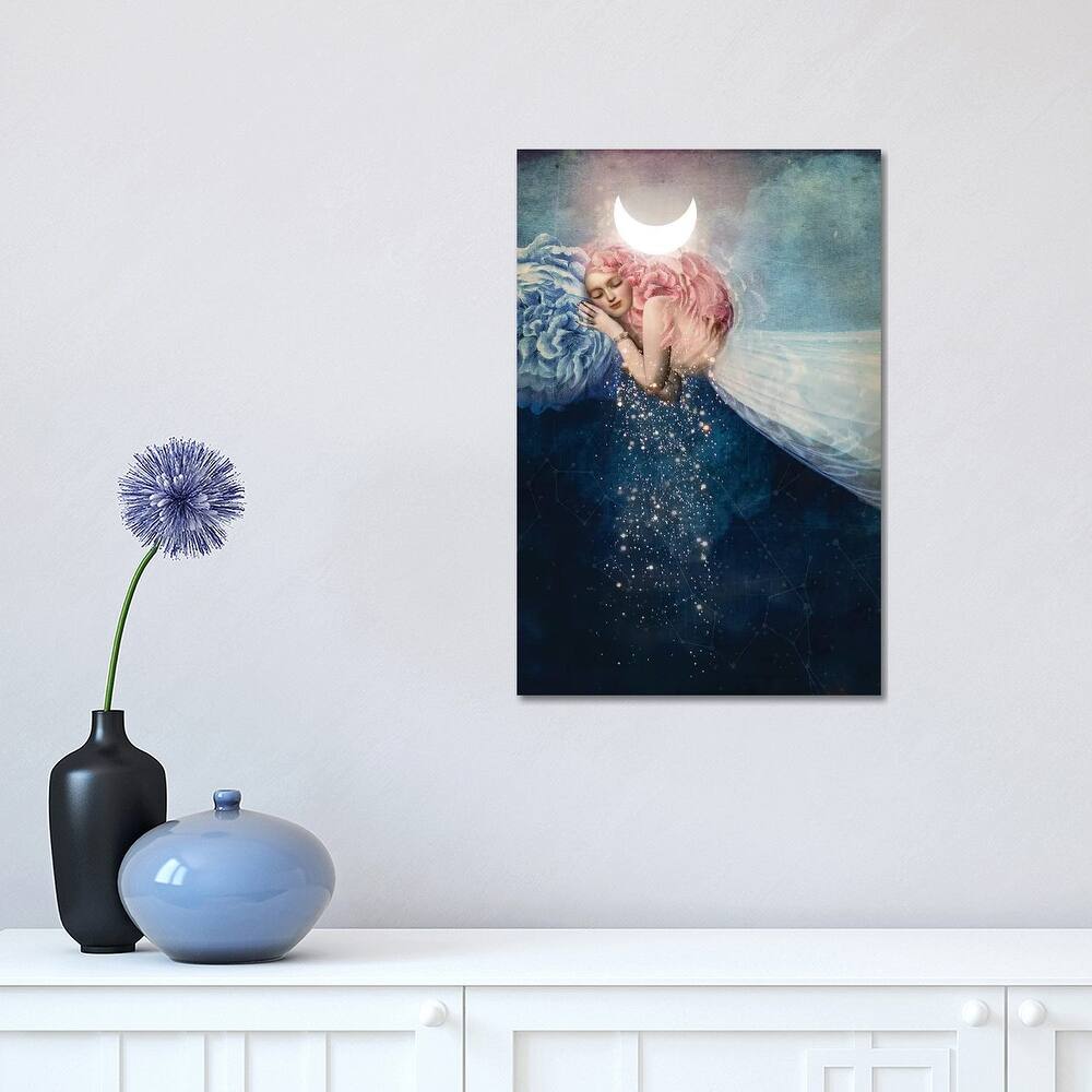 iCanvas 'The Sleep' by Catrin Welz-Stein Canvas Print