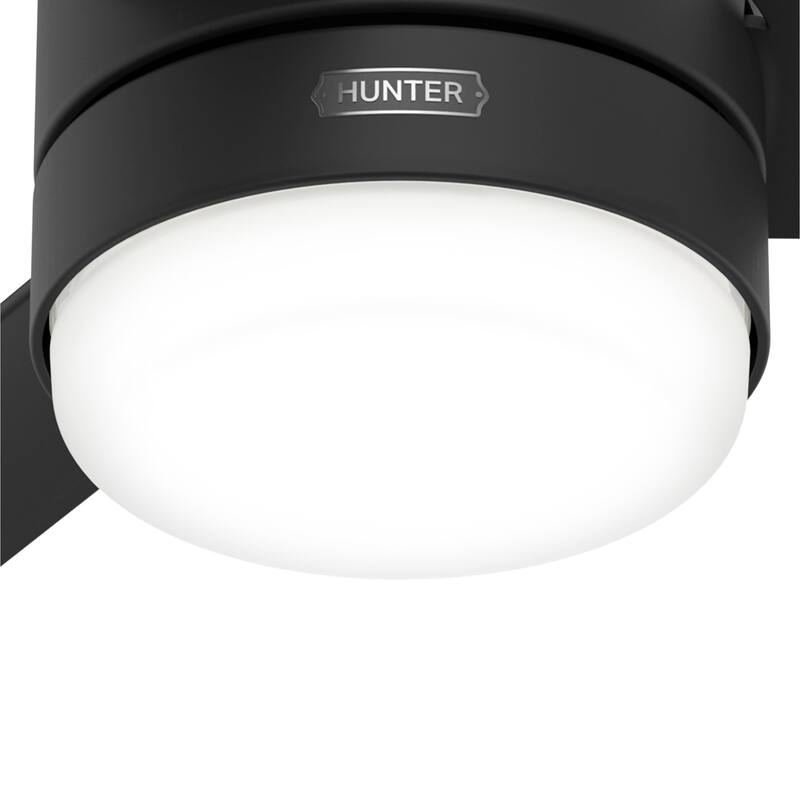 Hunter 44" Gilmour Outdoor Ceiling Fan with LED Light, Handheld Remote, Damp-Rated - Transitional, Contemporary