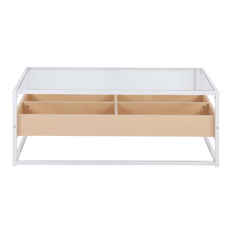 Display Coffee Table with Storage - Natural Wood & White Metal