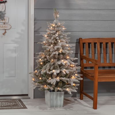 Elegant 4.5 Foot Potted Natural Cut Lightly Flocked Iceland Fir with Warm White LED Lights