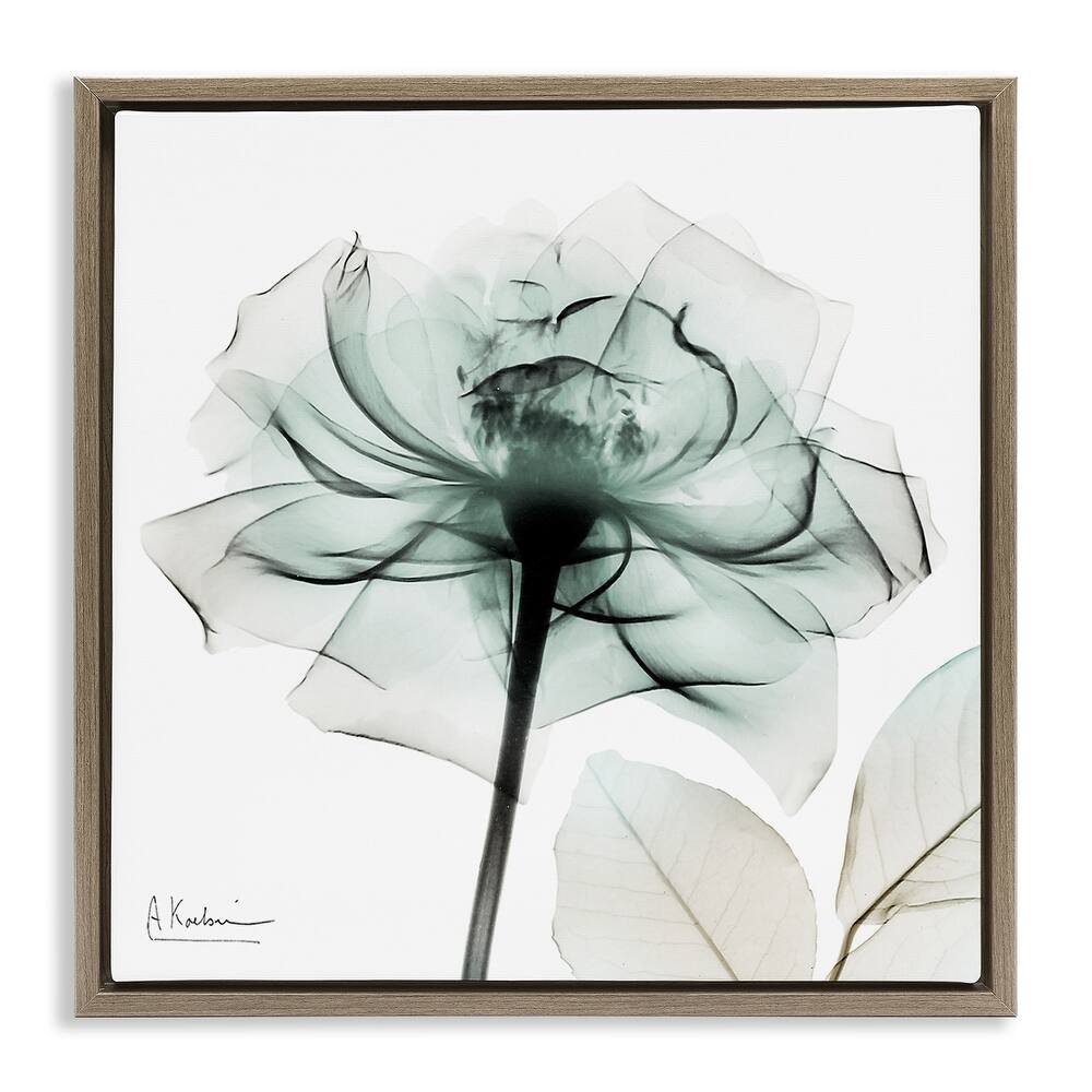 Stupell Transparent Flower Blossom Framed Floater Canvas Wall Art Design By Albert Koetsier