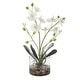 preview thumbnail 1 of 3, Uttermost 60201 Glory 13" Tall Glass and Stone Faux Flora Planter Clear