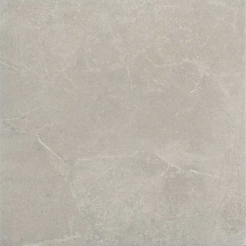 Emser Tile Realm II - 13" x 13" Square Floor and Wall Tile - Matte