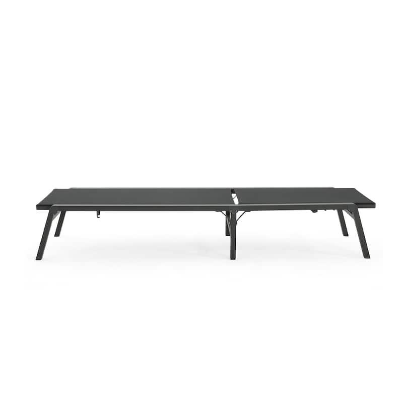 Outdoor aluminum frame mesh chaise lounge chair Set of 2