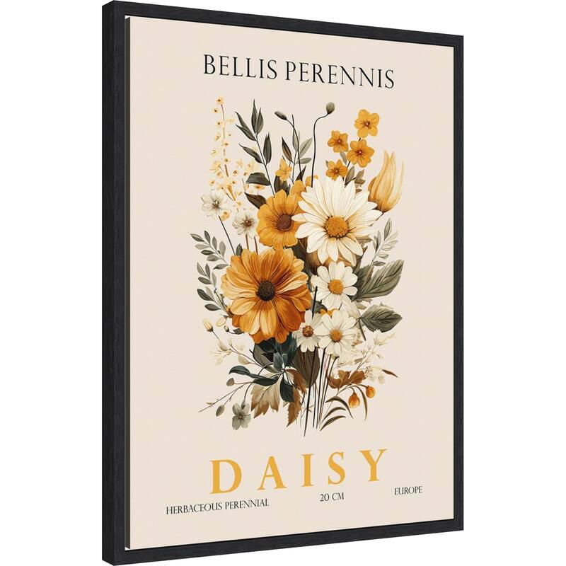 Vintage Botanical Daisy Illustration by Christopher Giampietro Framed Canvas Wall Art Print