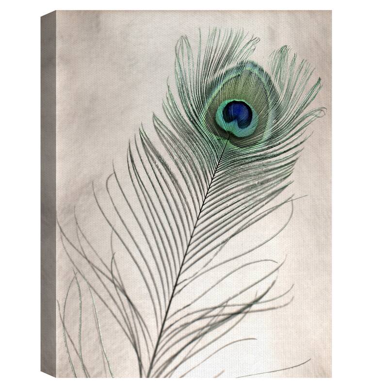 Feathers #11 Canvas Art Print