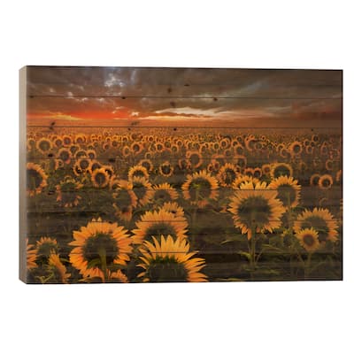 Echoes Of Light Print On Wood by Adrian Borda - Multi-Color