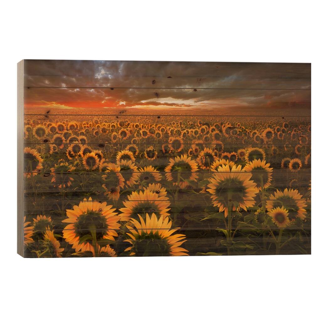 Echoes Of Light Print On Wood by Adrian Borda - Multi-Color