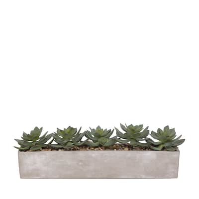 Faux Echeverias with Pebbles Succulent In Rectangular Pot - Green