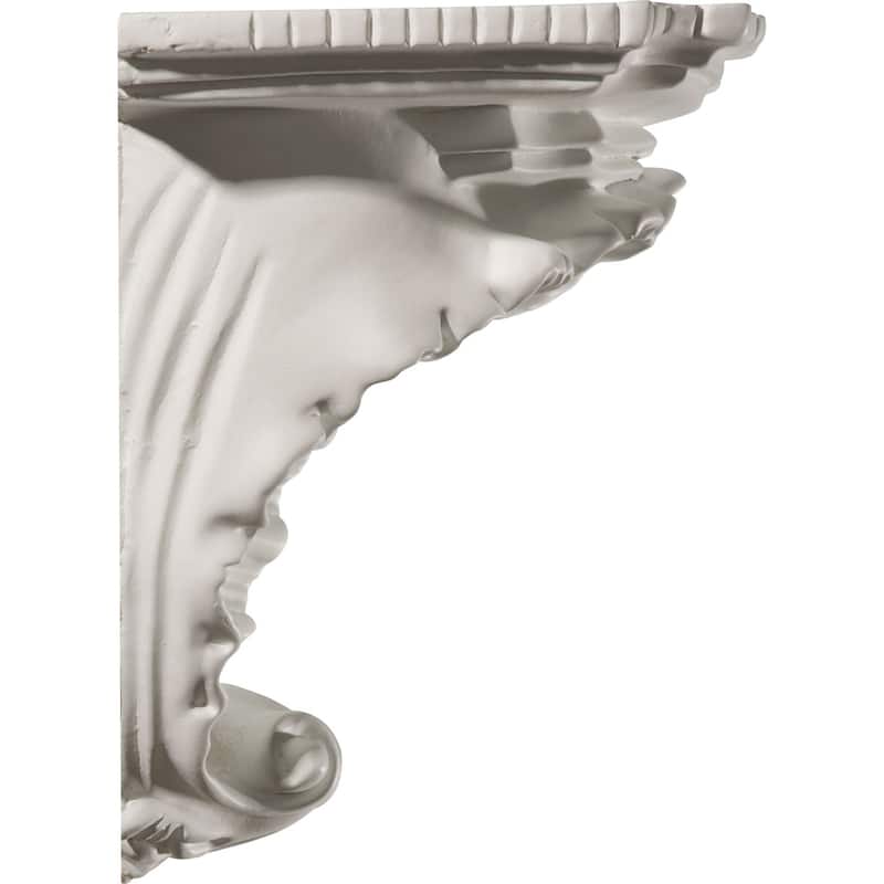 10 3/8"W x 6"D x 7 3/8"H Shell Decorative Shelf