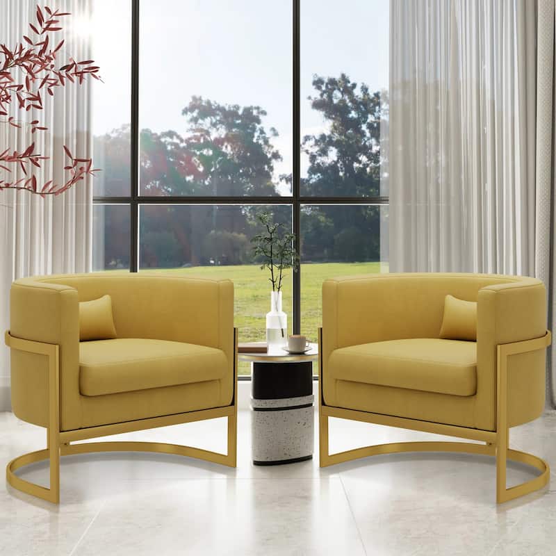 Accent Chair, Velvet Barrel Chair Modern Arm Chair for Living Room