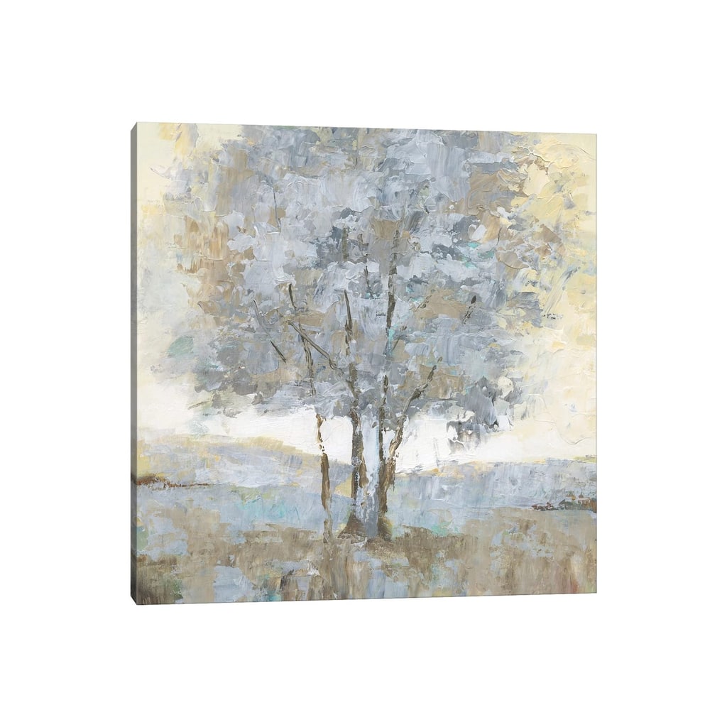 iCanvas "Soft Sentinel I" by Nan Canvas Print