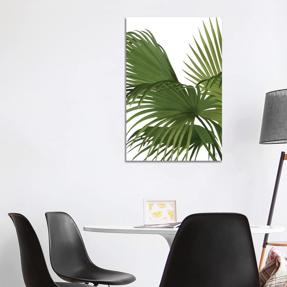 iCanvas "Another Fan Palm II" by Fab Funky Canvas Print