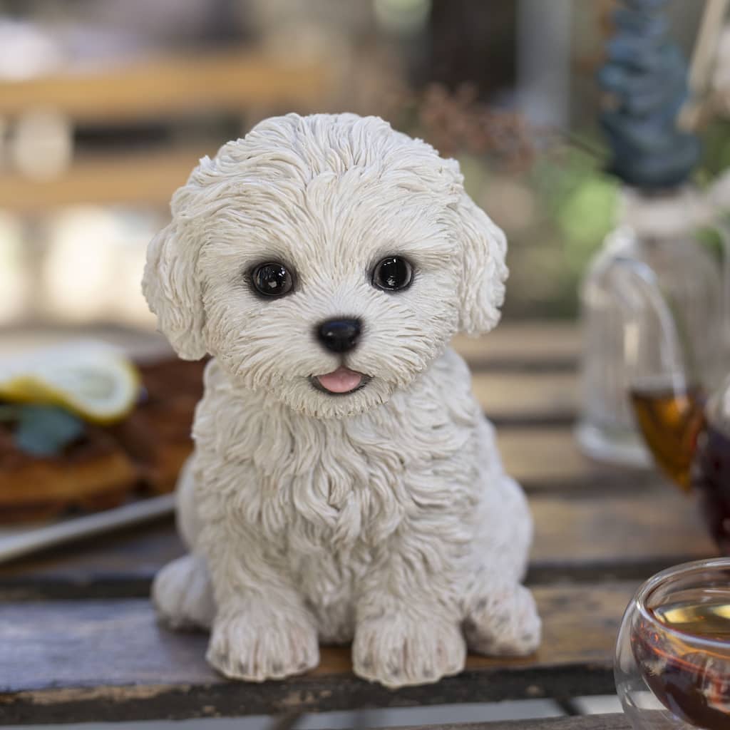 Sitting Bichon Frise Puppy Outdoor Statue - 5.75" - White
