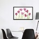 preview thumbnail 7 of 10, iCanvas "Tulip Blush" by Mandy Disher Framed