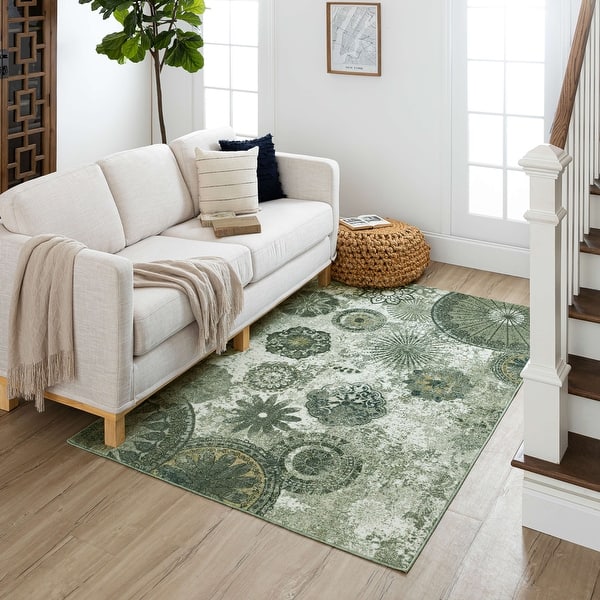 slide 2 of 27, Porch & Den Bexley Floral Medallion Area Rug
