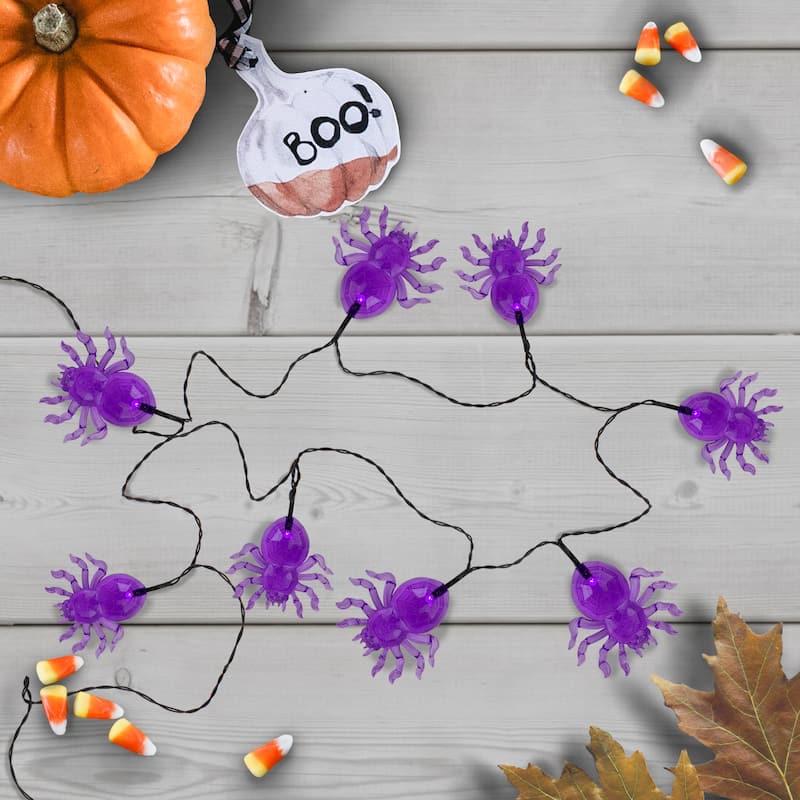 10ct Purple B/O LED Spider Halloween Lights - 4.6 ft Black Wire