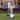 Gemmy Airblown Nightmare Before Christmas Scene Disney , 6 ft Tall, Multi