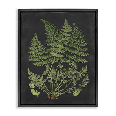 Stupell Botanical Drawing Green Black Design Floater Frame