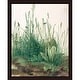 The Large Piece of Turf by Albrecht Dürer Giclee Print Oil Painting ...