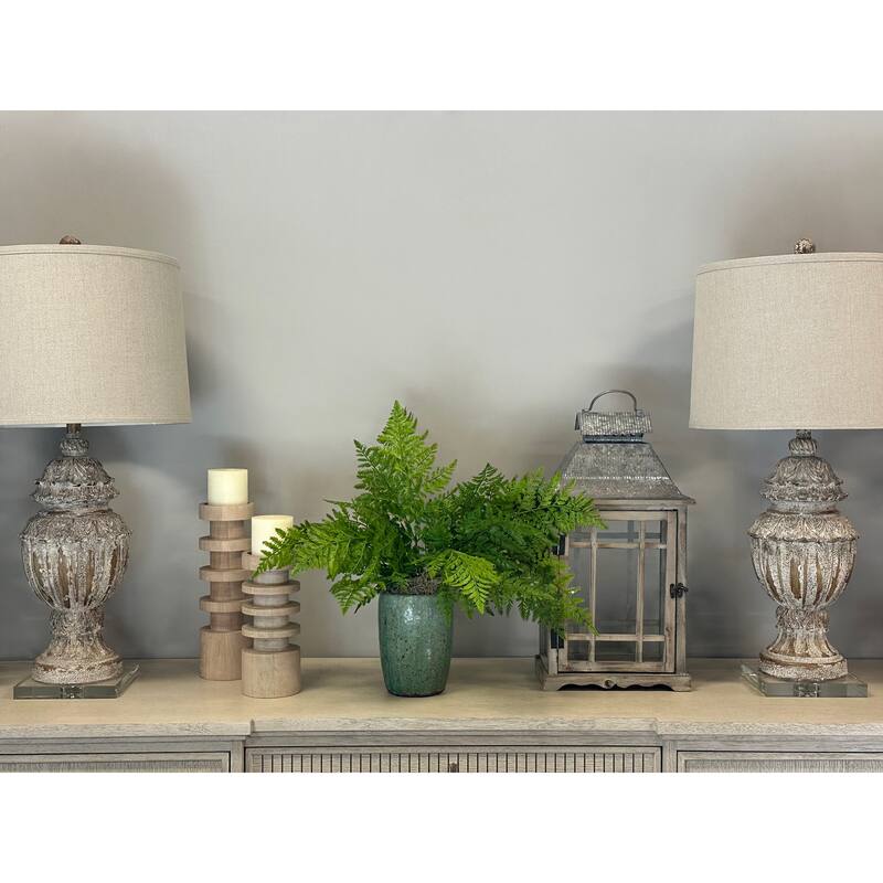 Organic Modern Fern Arranged in a Ceramic Pot - Green