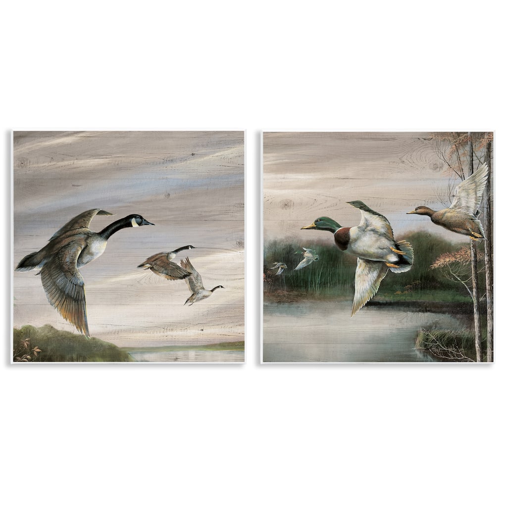Stupell Geese & Ducks in Nature Wall Plaque Art Design By Ruane Manning (Set of 2)